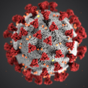3D visualisatie coronavirus